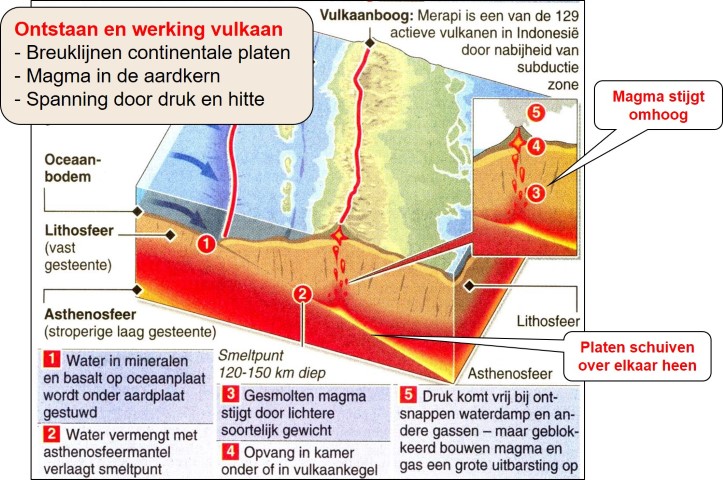 Platentektoniek